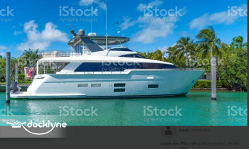 saripalli operation boat rental operation on Mount Dora, FL 3